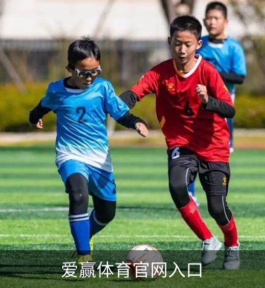 爱赢体育官网入口概况