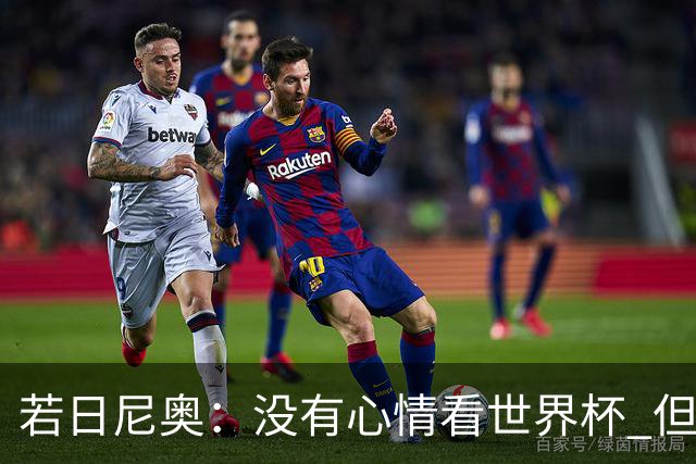 若日尼奥：没有心情看世界杯 但决赛真的很棒